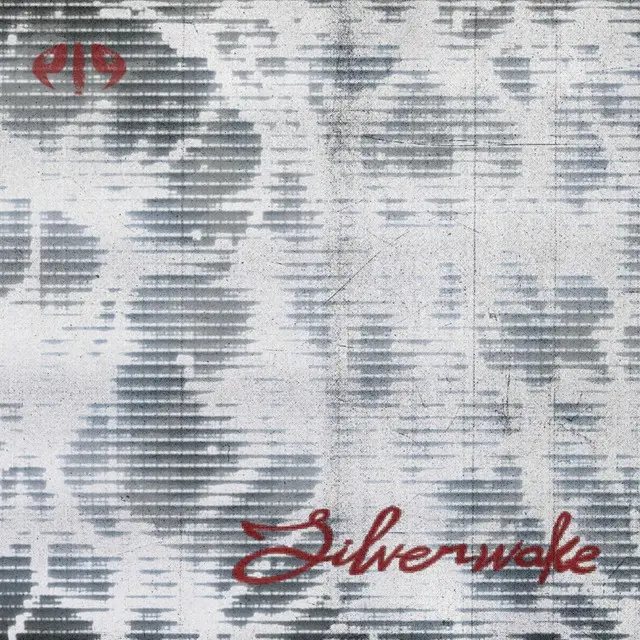 Silverwake cover